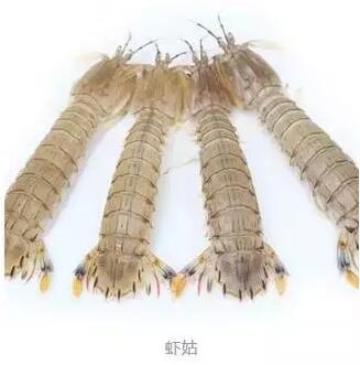 心痛的感觉！八种海鲜暂别啦