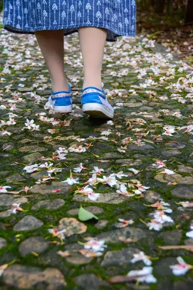 罗田县樱花美景,带你去看油桐花海