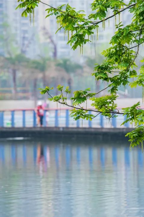 成都城市绿道,成都被山包围