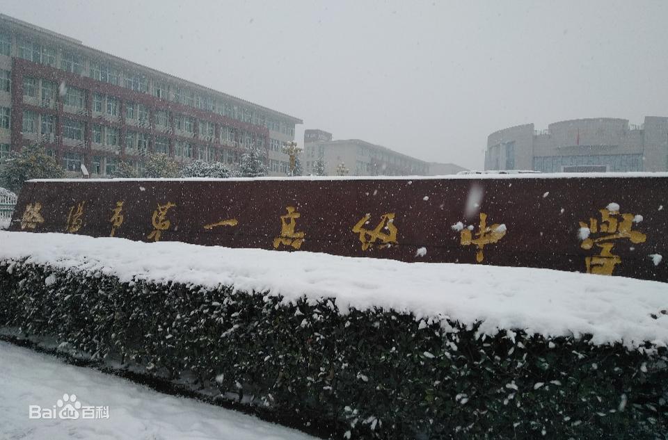 考上清华北大最多的十所高中,洛阳市考上清华北大名单