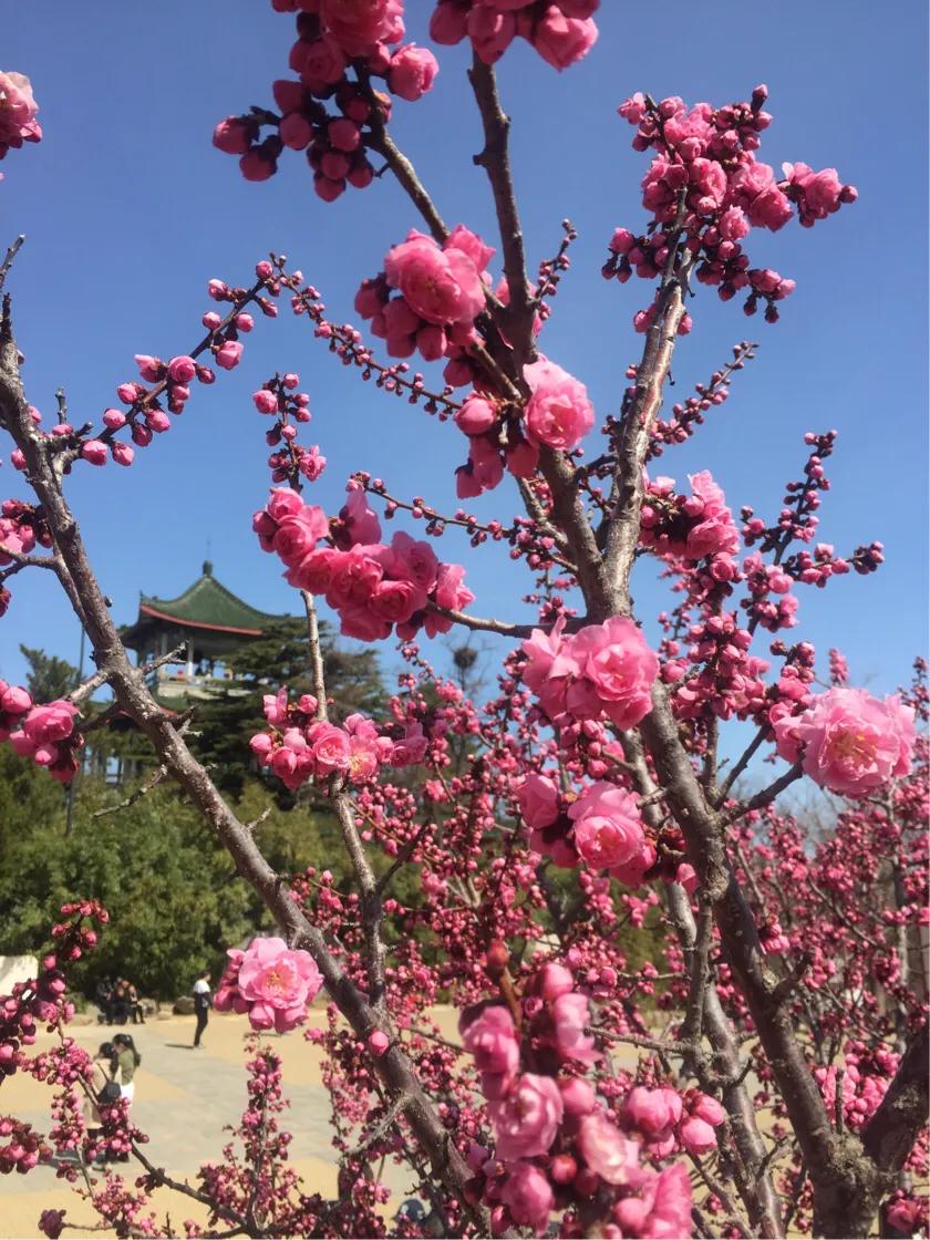 一个手机在家就能赚钱,怎么在家用手机赚钱