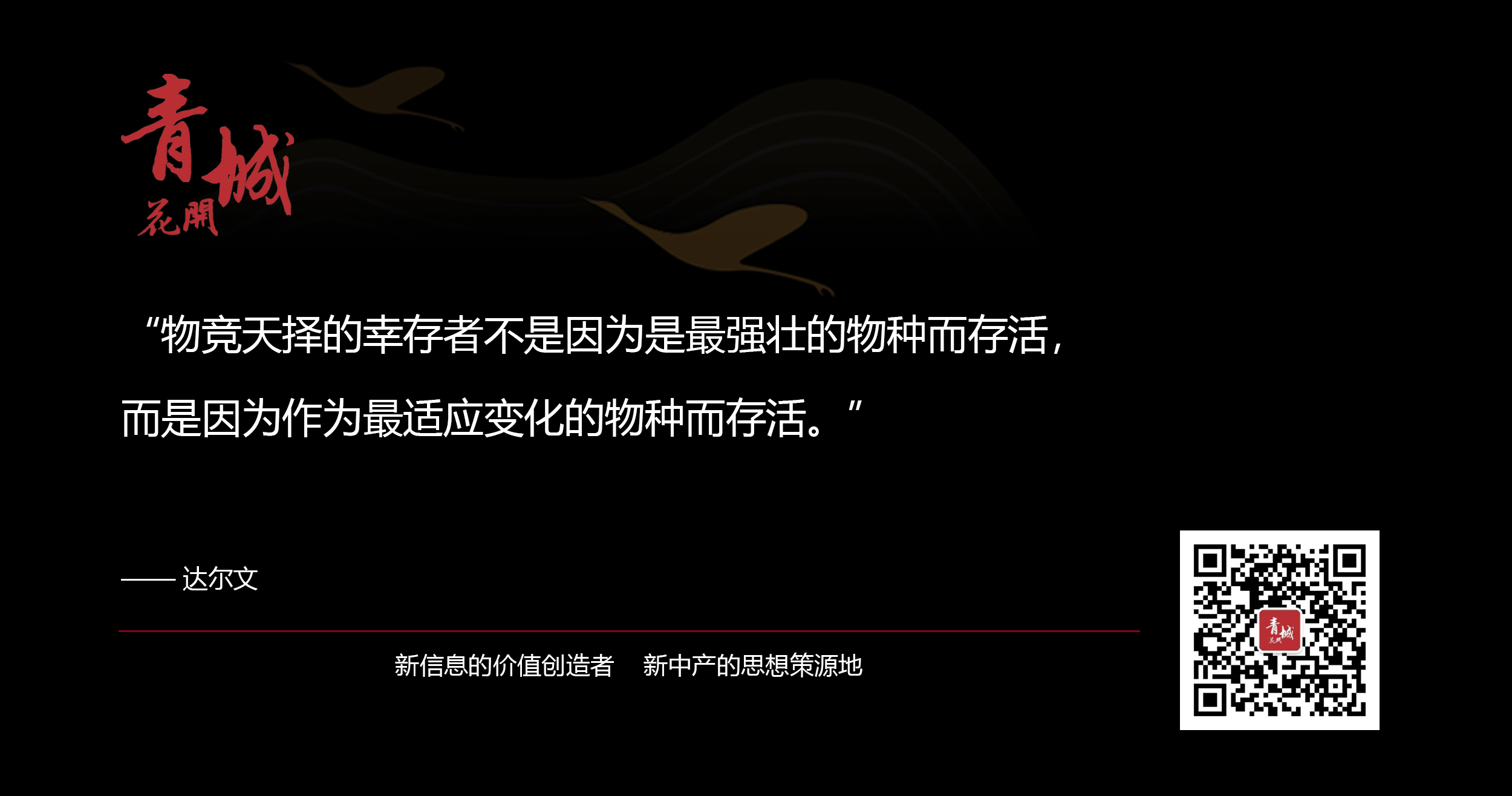 创业要有底层逻辑,你创业能不能成功的底层逻辑