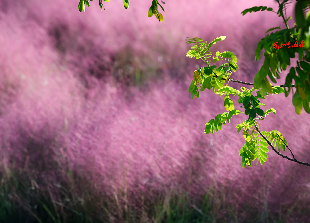 摄影就是记录流逝的时光,摄影捕捉生活的美好瞬间