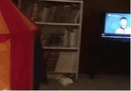 适合冬天宝宝室内游戏,下雨天适合孩子室内玩的游戏