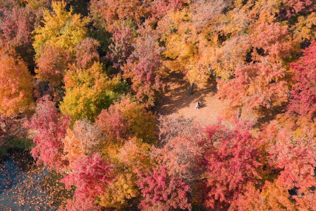 苏州真正的烟雨江南在哪里,江南烟雨苏州古城