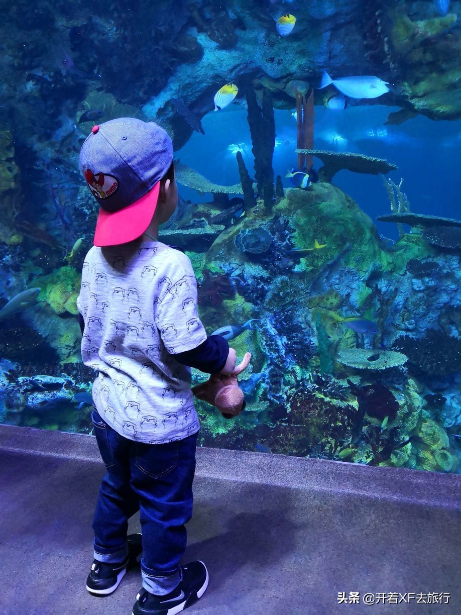 说走就走的旅行攻略省钱一天,说走就走的旅行攻略大全