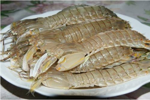 如何挑选母皮皮虾,皮皮虾怎么挑选才是最好