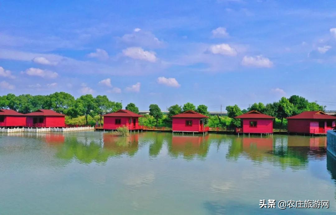 逛水城、登大涪山、吃湖鲜...长荡湖邂逅属于你的秋