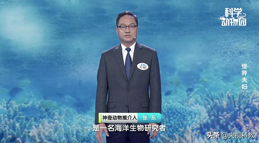 澶ц穼鐪奸暅,澶ц穼鐪奸暅鍜屽嚭涔庢剰鏂欑殑鍖哄埆