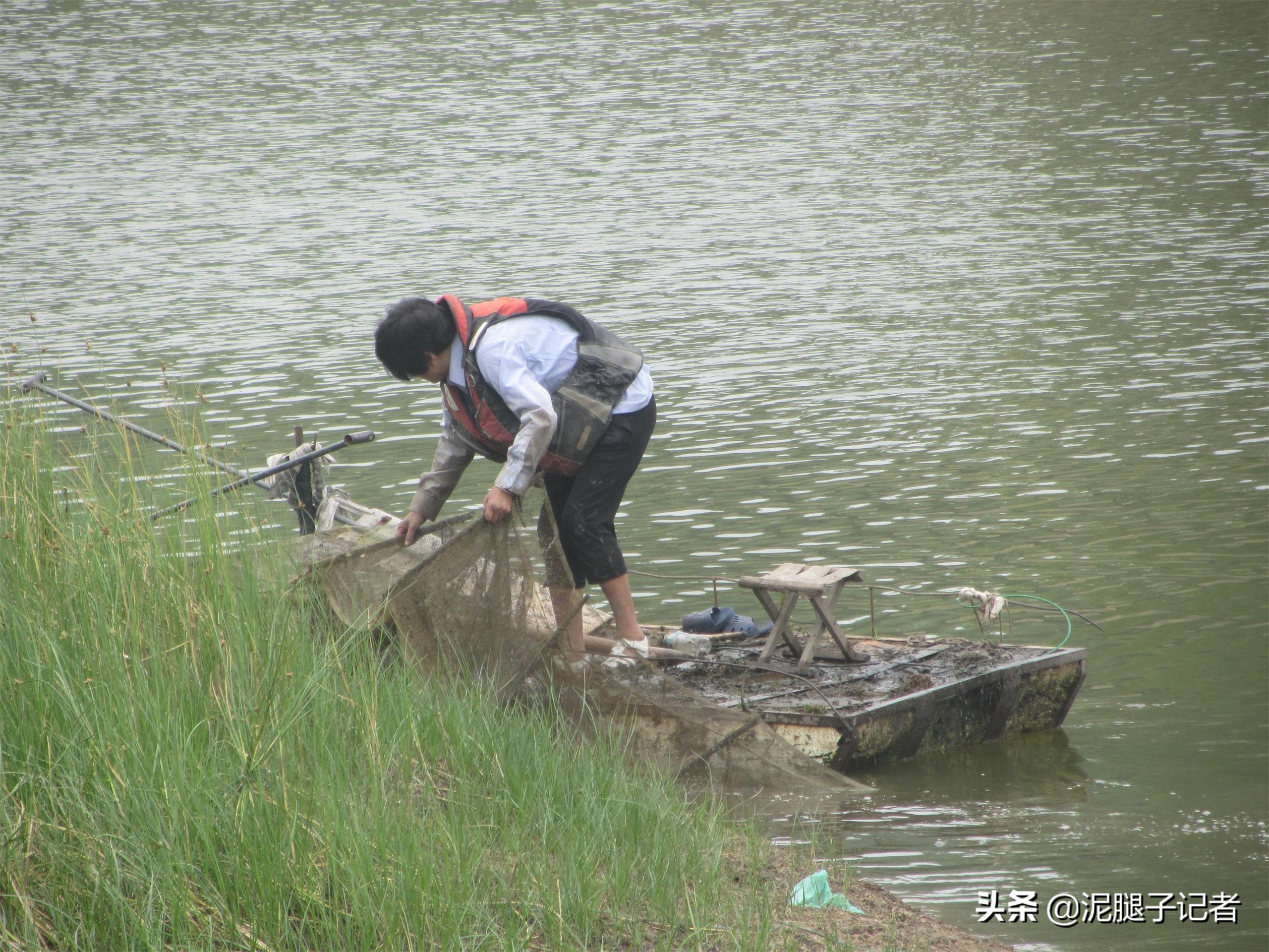 农村小伙捕鱼的真实经历,农村小伙捕鱼的神奇经历