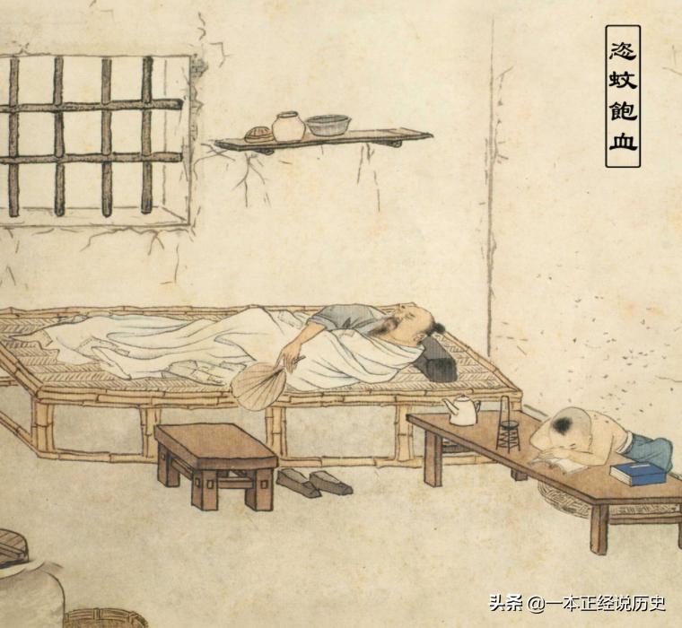 被1000只蚊子吸血全过程,蚊子吸血的过程有多可怕