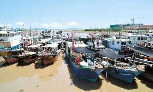 台山那琴湾海边旅游经历,台山那琴海岸线徒步旅行一日游