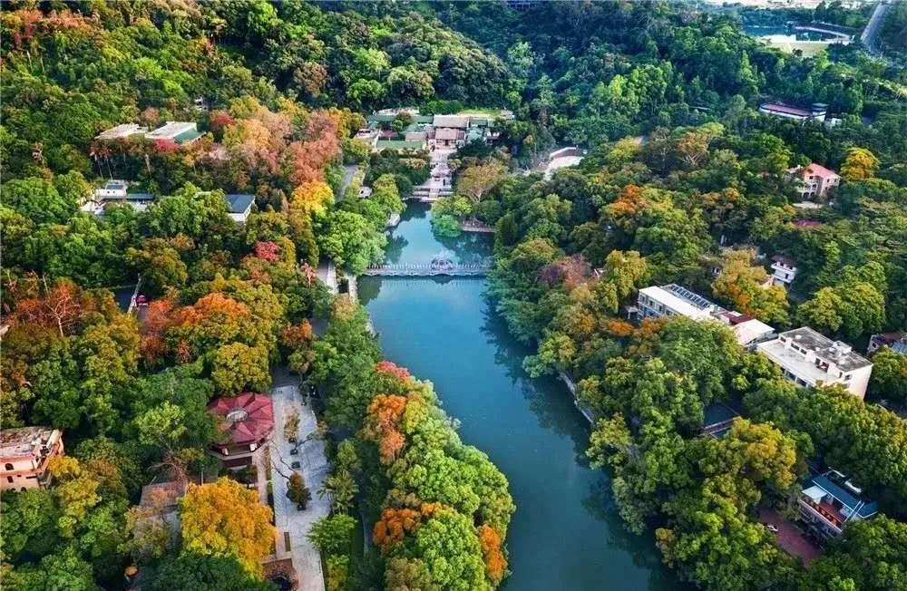 百佳诗意小城|@惠东人，快来为惠东打CALL!