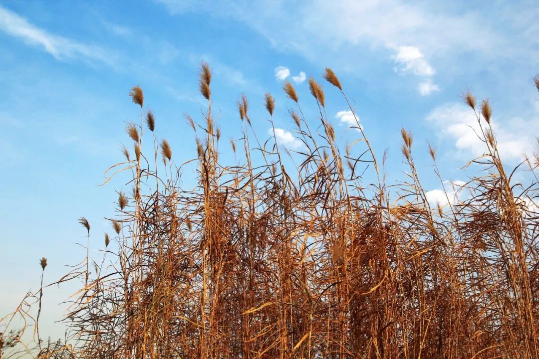 千年经典59首鲜为人知的古诗词,不爱江山爱美人完整版视频