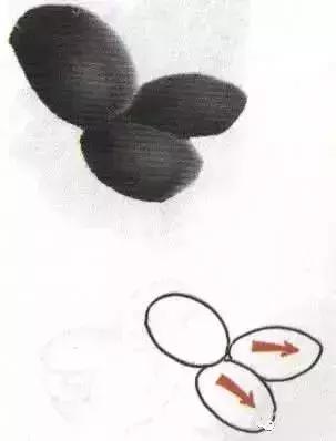 写意花鸟配景石的画法,干货写意花鸟类的画法