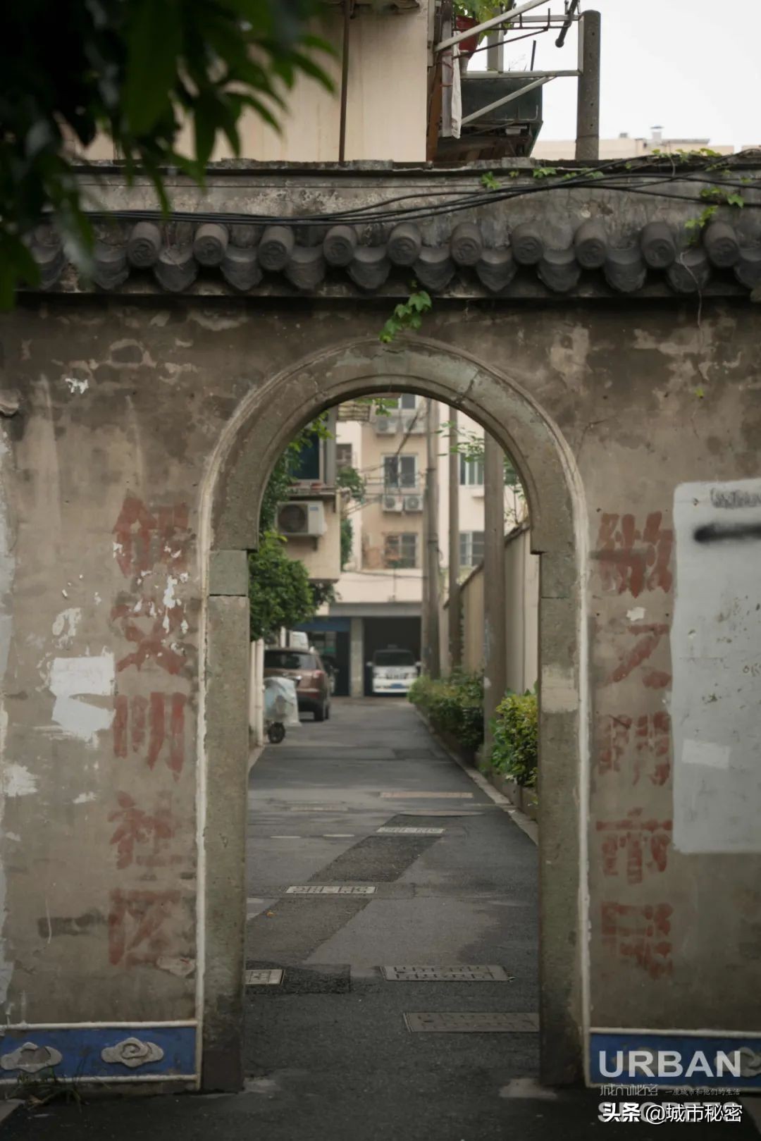 鏉窞瑗挎箹鍥涘ぇ瀹舵棌,鏉窞鍥涘ぇ鏈涙棌