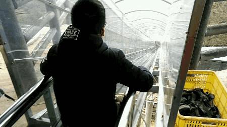 无法离昆，就地过年！昆明亲子游推荐路线重磅来袭！花样过牛年