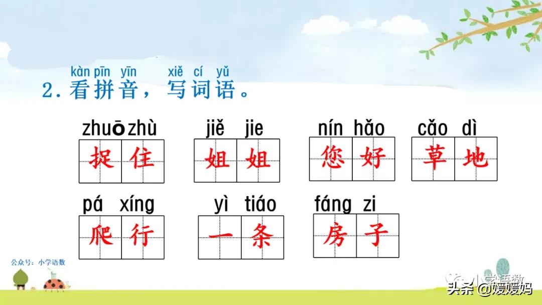 一年级小壁虎借尾巴原文图片,小壁虎借尾巴优质课一等奖