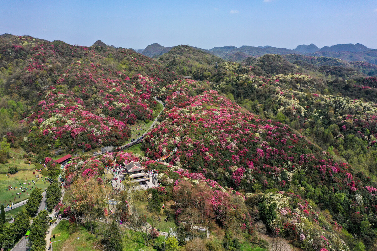 大理洱海网红打卡地游玩顺序,大理洱海最新旅游攻略