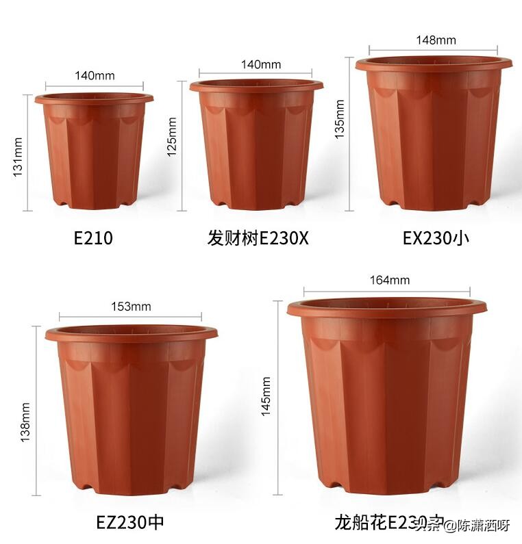 常见花卉花盆图片大全,各种花盆的优缺点图片介绍