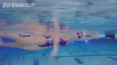 速泳25米自由泳速成,抬头式自由泳的速成方法