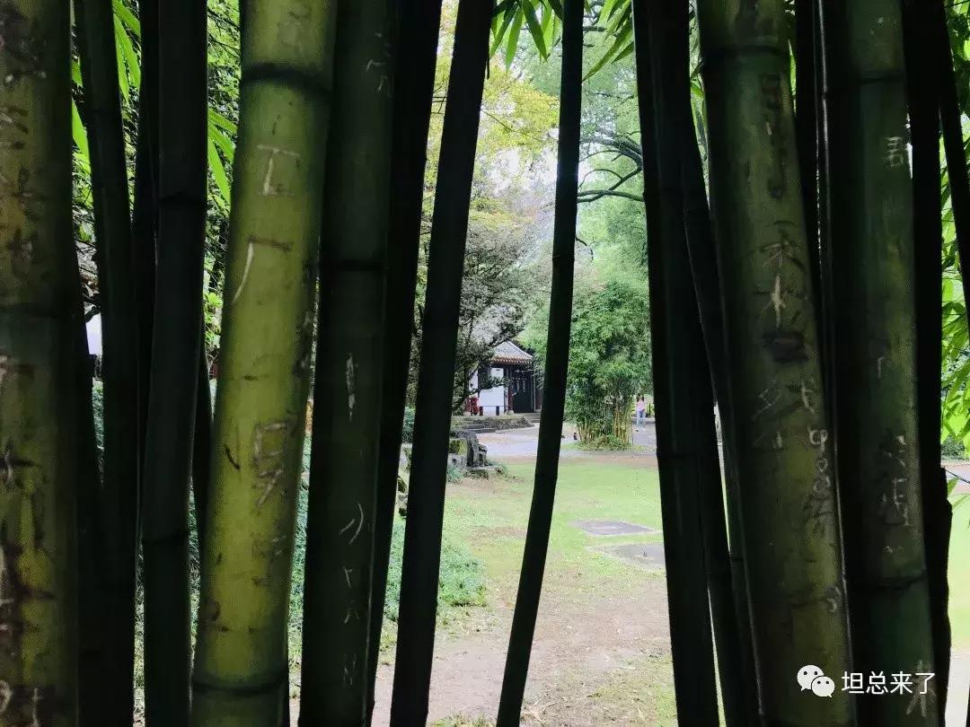 长沙旅游攻略网红打卡,来长沙必打卡的地方攻略