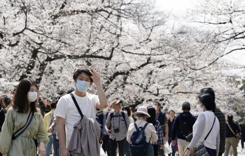 日本真不怕死啊！几百斤的胖子还在相扑！他们是体质最弱的运动员