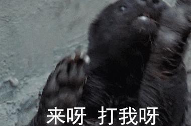 平头哥的传奇记录,平头哥的一生故事