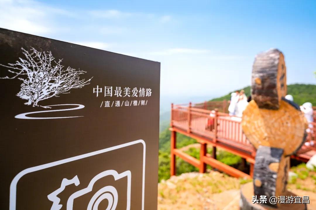 520深情的告白,520告白愿世间美好与你们环环相扣