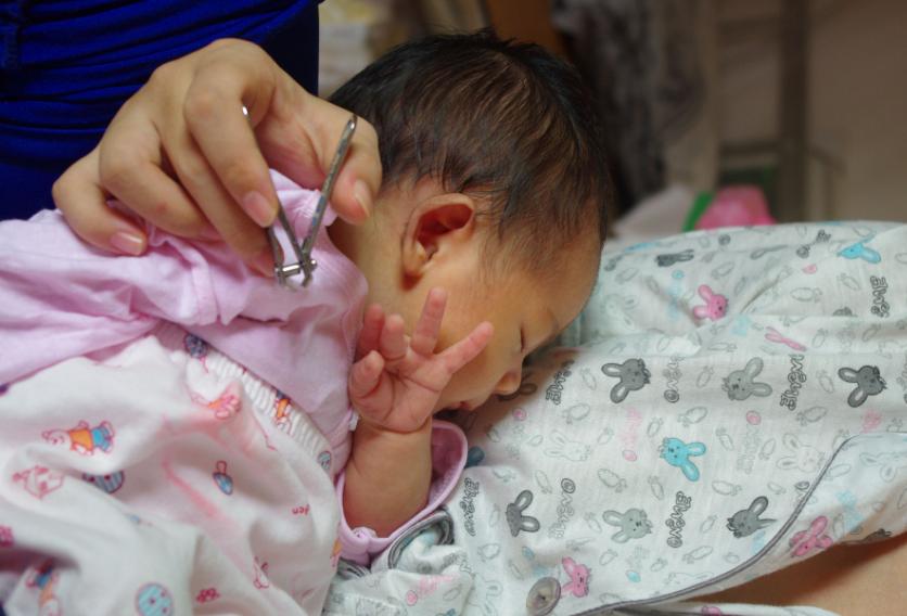 什么时候出生的鼠宝宝命硬,2020年金鼠宝宝农历几月出生最好