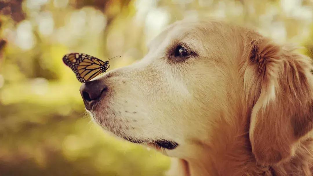 100个人生哲理短片,30个经典人生哲理