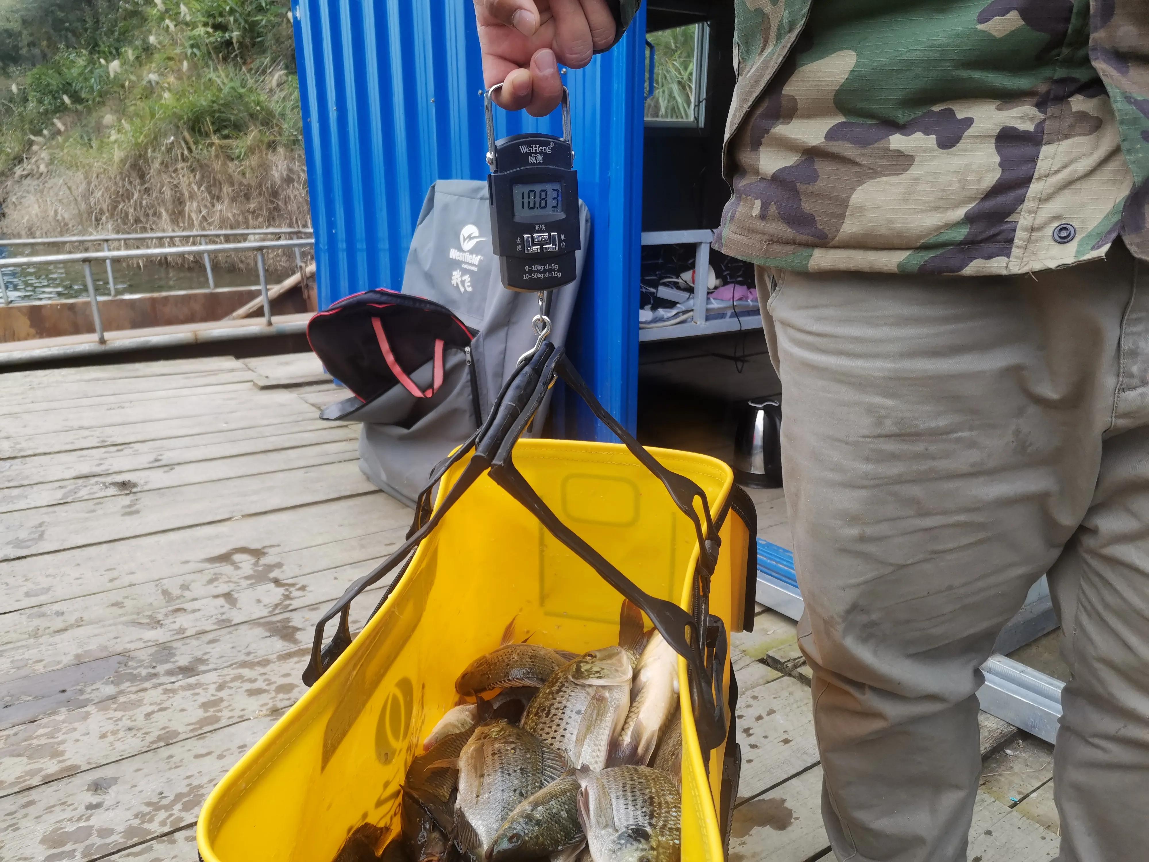 文山马鹿塘水库钓罗非鱼怎么样,文山马鹿塘水库野钓多少公里