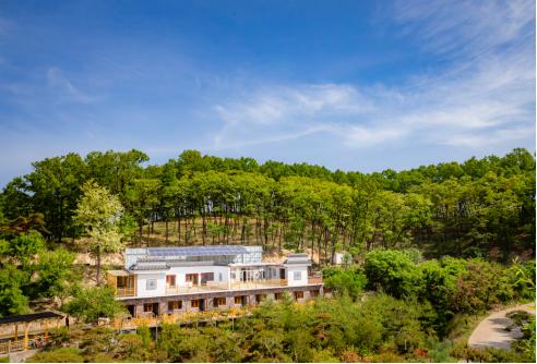 药乡国家森林公园免门票吗,药乡国家森林公园游玩