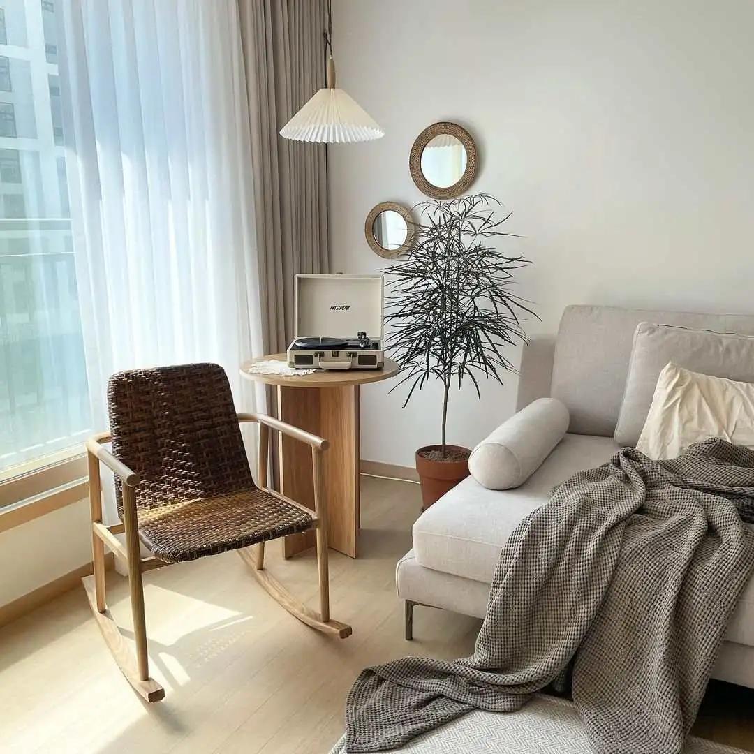 ins十大网红绿植,ins网红绿植大全