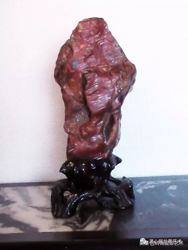 玩树藏石，不亦乐乎！