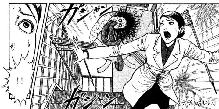 伊藤润二毛骨悚然的鱼去哪里看,伊藤润二鱼深层解析