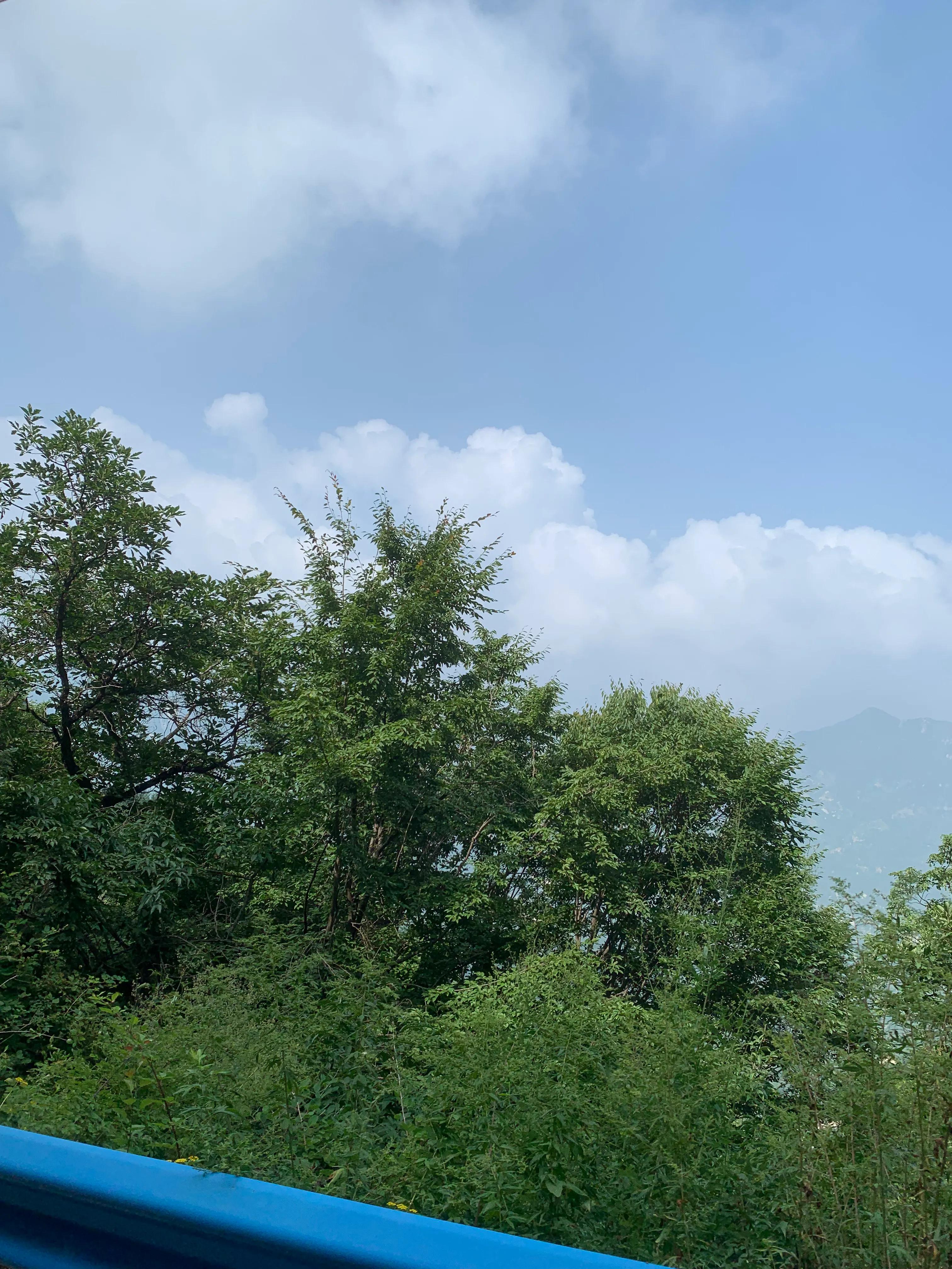 一朵花的守候——七峪沟纪行