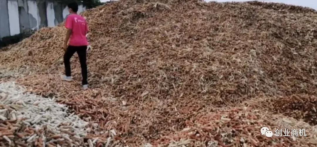 那些看着不起眼却很赚钱的小生意,那些不起眼却很赚钱的生意