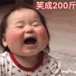 猪白菜今晚有空吗可爱表情包,今晚有空么猪拱白菜表情包