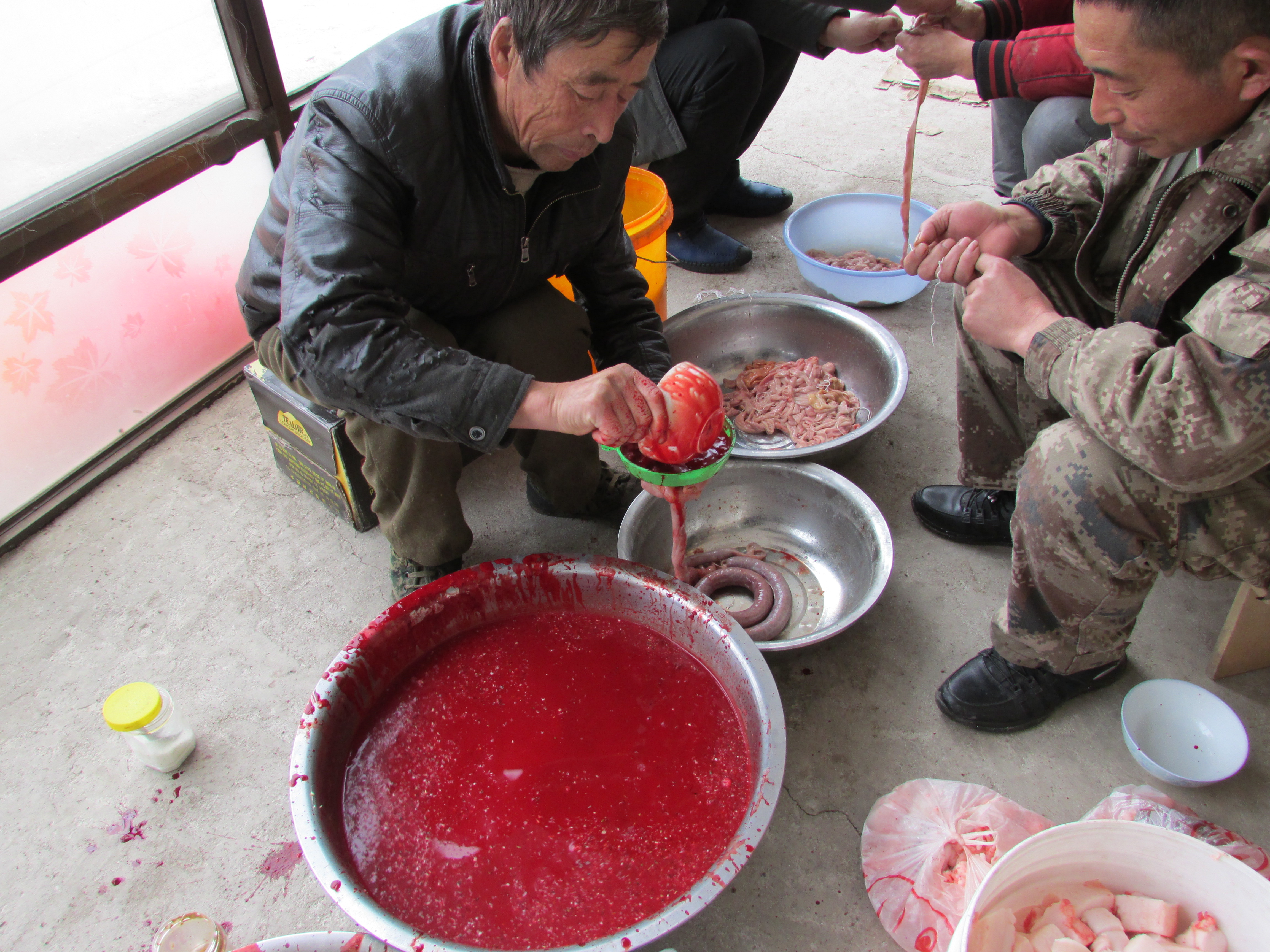东北杀年猪来吃猪肉,老东北杀年猪