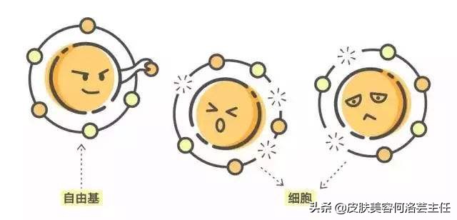 抗氧化护肤品需要含什么成分,抗氧化护肤品的功效