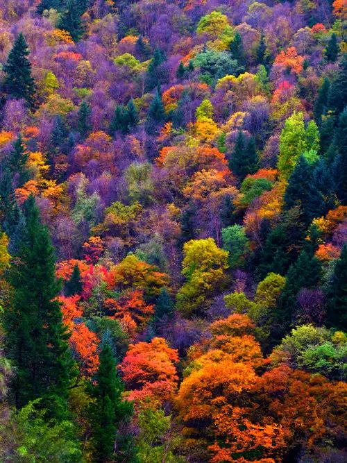 四川一条路途经全是石头的山,四川红叶一日游攻略