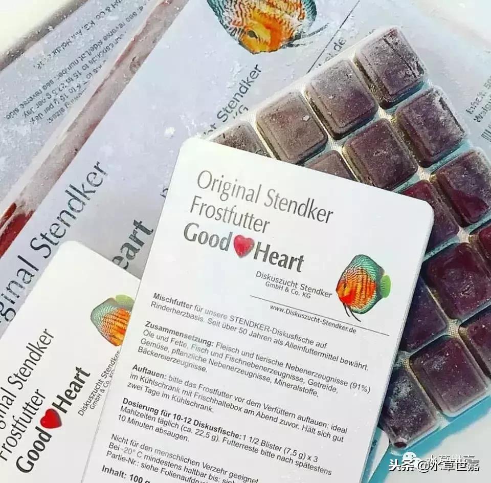 七彩神仙鱼水族箱布景,七彩神仙鱼苗繁殖技术