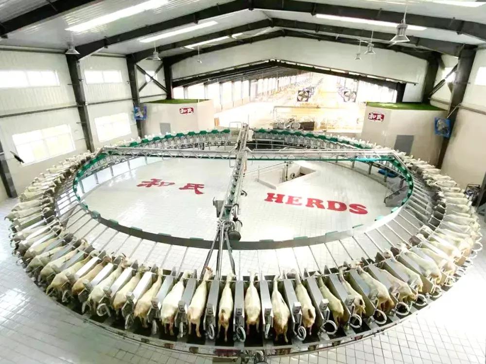 和氏羊奶粉真的那么神奇吗,和氏羊奶粉与普通牛奶的区别