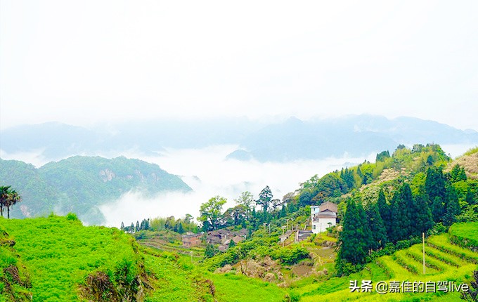 云顶山一日游记,福建云顶山旅游攻略