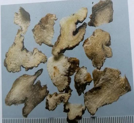 止血收敛的药有哪些,收敛止血中成药有哪些