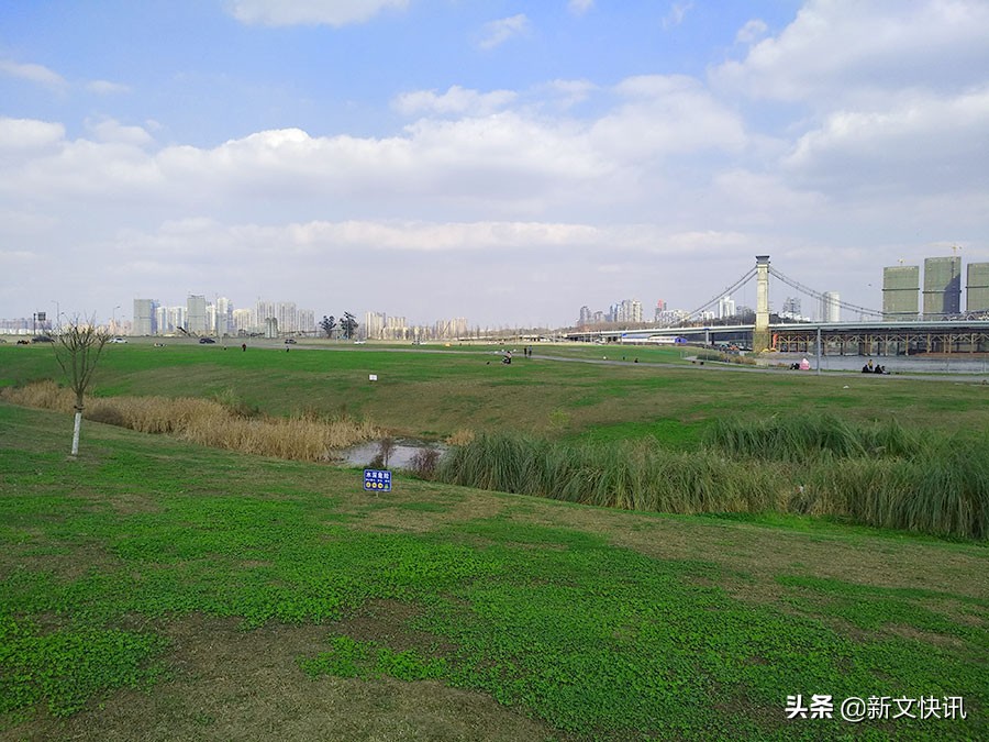 成都世警会开幕式,2019成都世警会开幕式