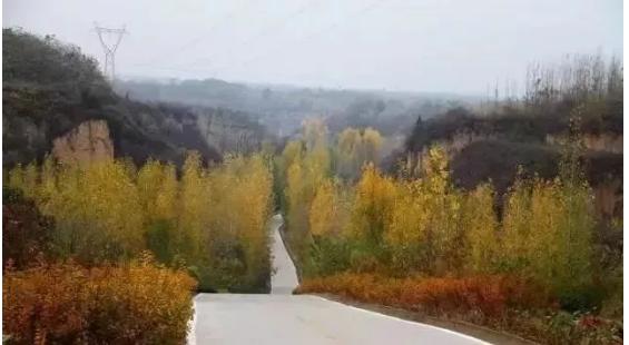 郑州北湖湿地公园攻略,十年前郑州天健湖公园