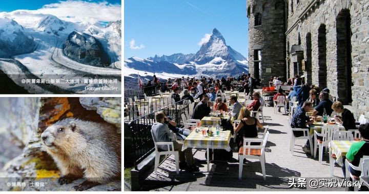 vicky鏃呮父鏀荤暐,vicky鐨勬梾琛寁log