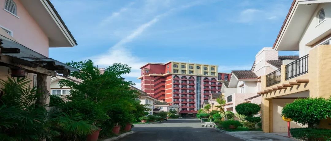 2021年青少年暑假夏令营,cia英语夏令营